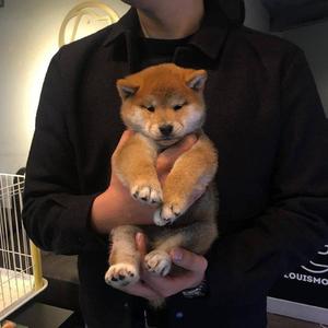 超级级碰碰费视频免
